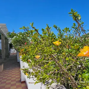 Séjour chez l'habitant Blife Salinya Private At N125, Olhão